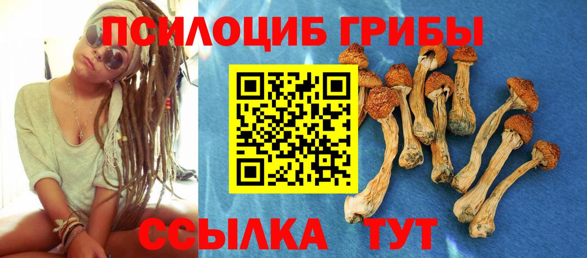 Лесосибирск  Галлюциногенные грибы Magic Shrooms  Галлюциногенные грибы мицелий  Вход с VPN 