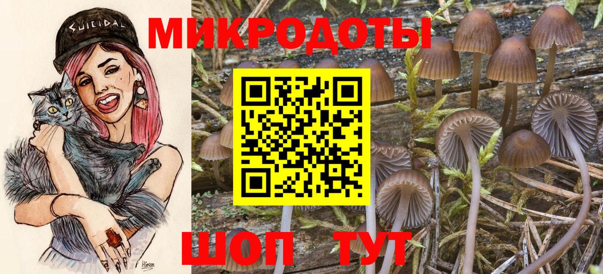 Галлюциногенные грибы GOLDEN TEACHER Лесосибирск